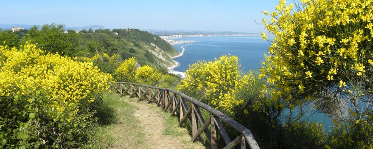 San Bartolo
